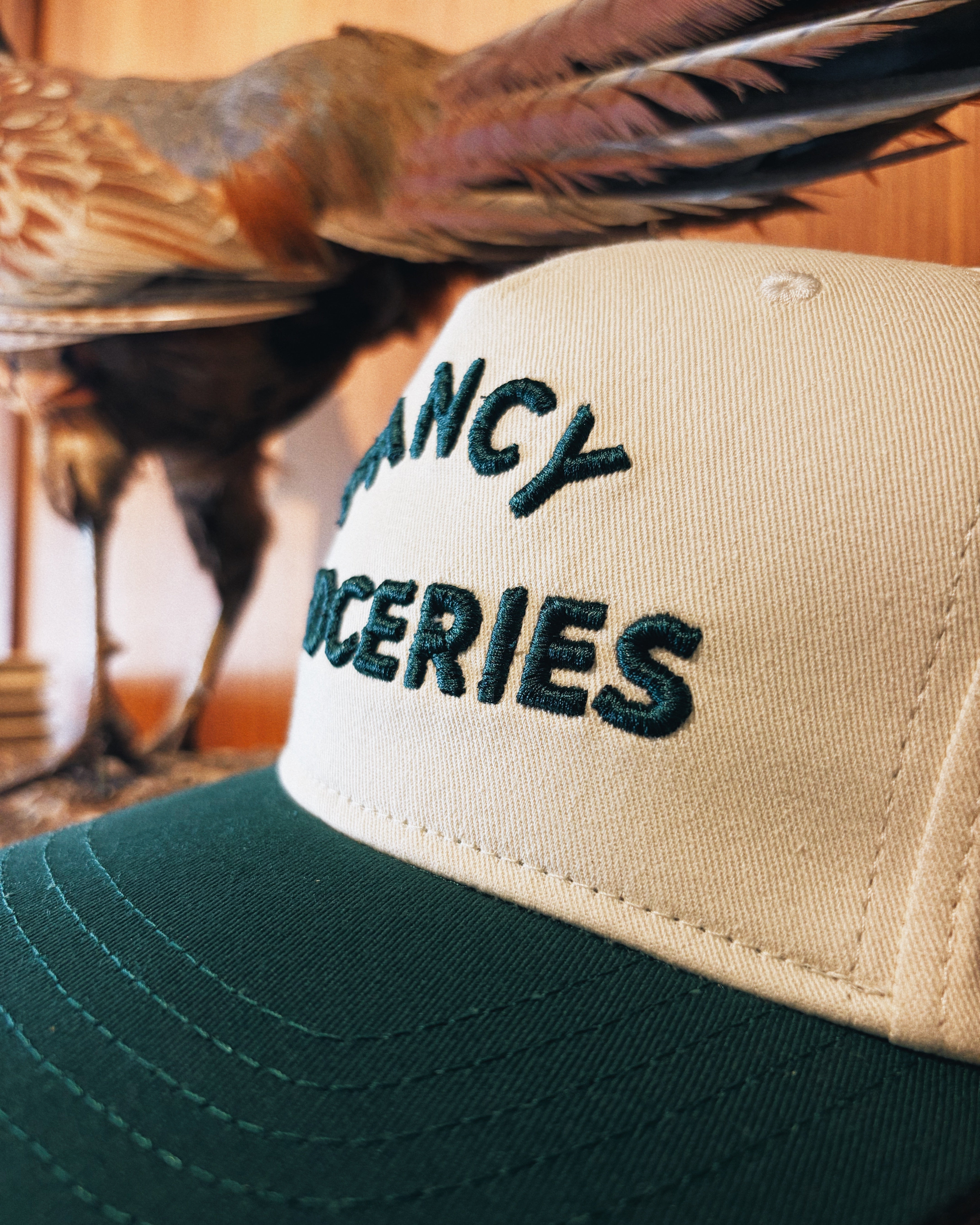 Fancy Groceries Two Tone Puff Embroidered Hat